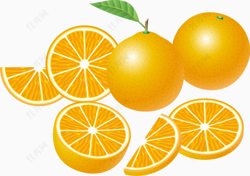 精美水果橙子