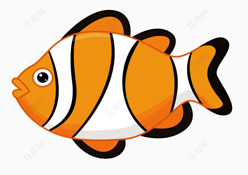 橙色条纹鱼