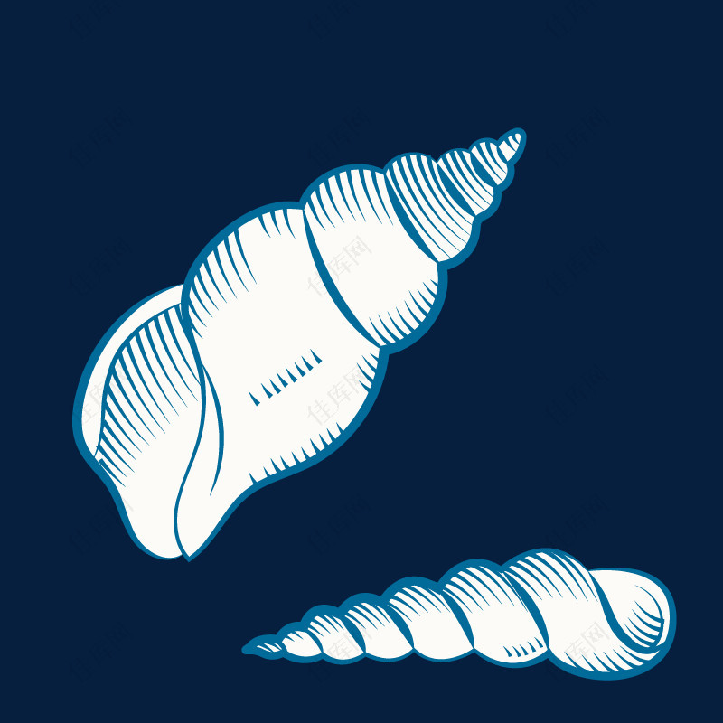 手绘蓝色海螺