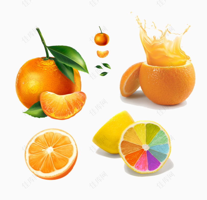 脐橙和橘子