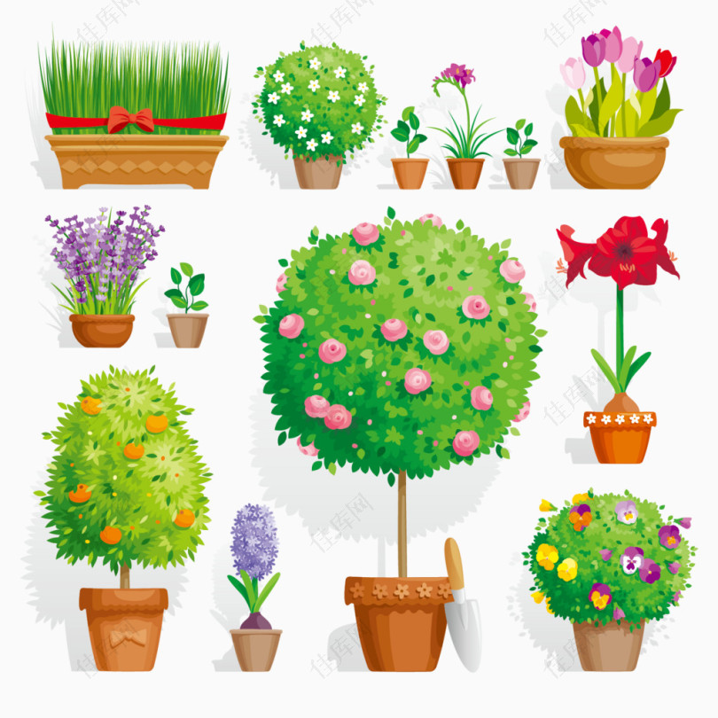 绿色健康生活植物图片