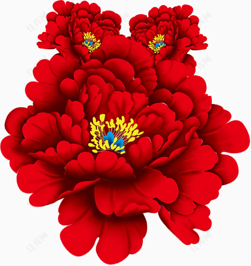 大红花朵