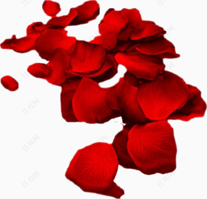 凌乱的红玫瑰花瓣