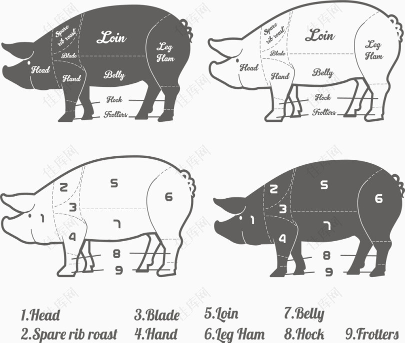 猪肉成分解析