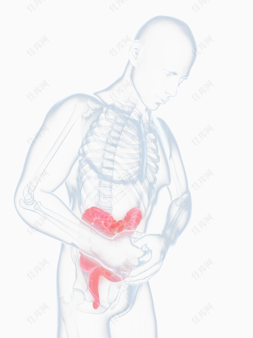 人体肠胃X光