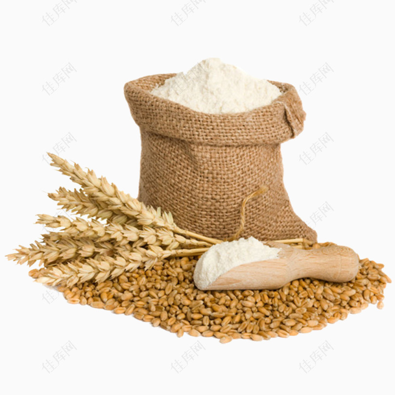 面粉和小麦