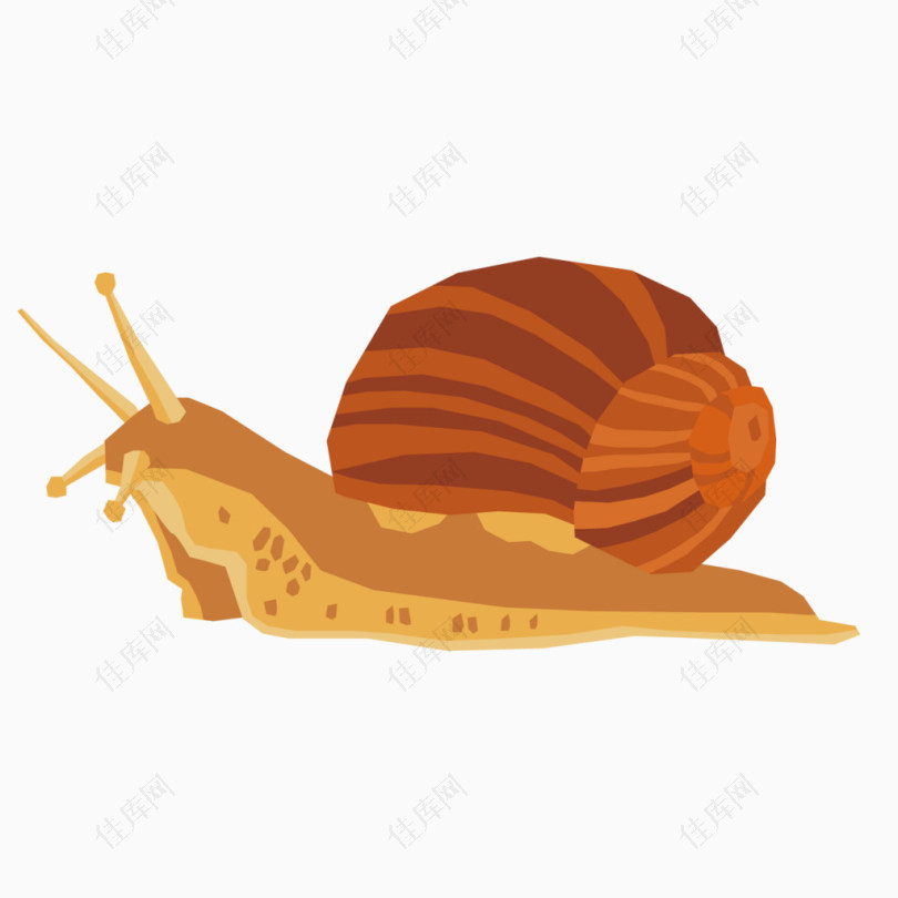 可爱蜗牛