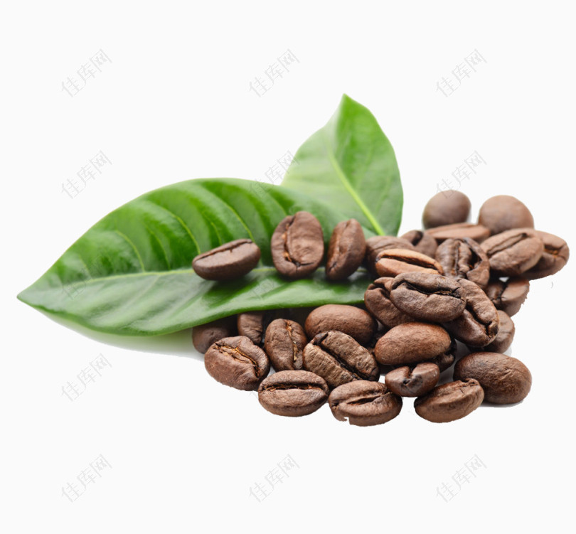 绿色的叶子咖啡豆