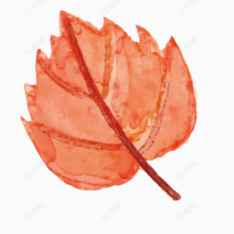 水彩手绘秋季装饰树叶