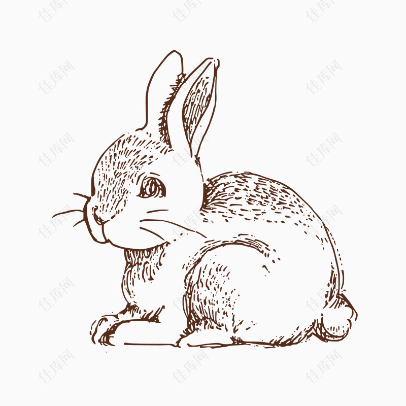 手绘卡通兔子