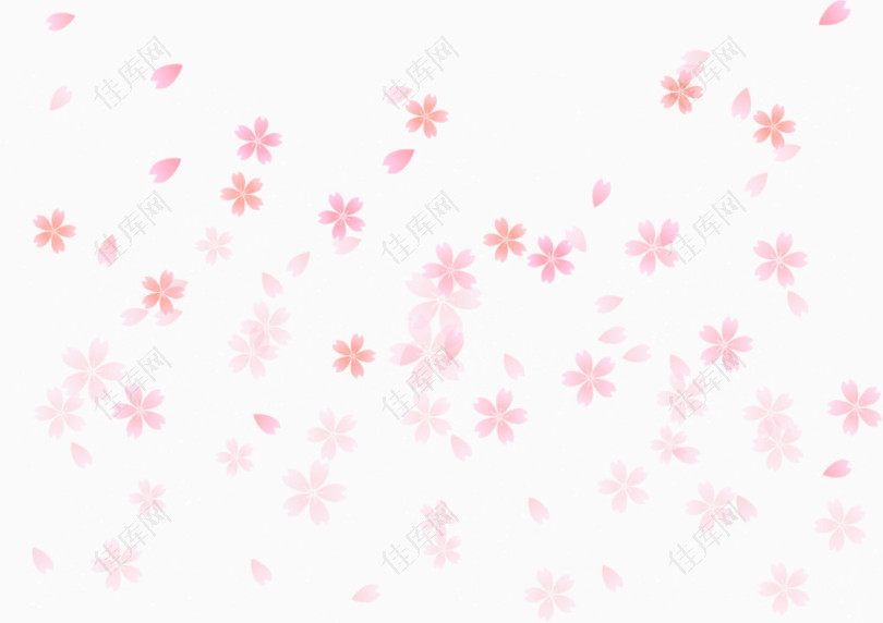 粉色樱花飘落