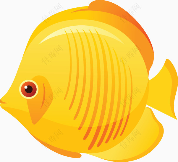 黄色热带观赏鱼
