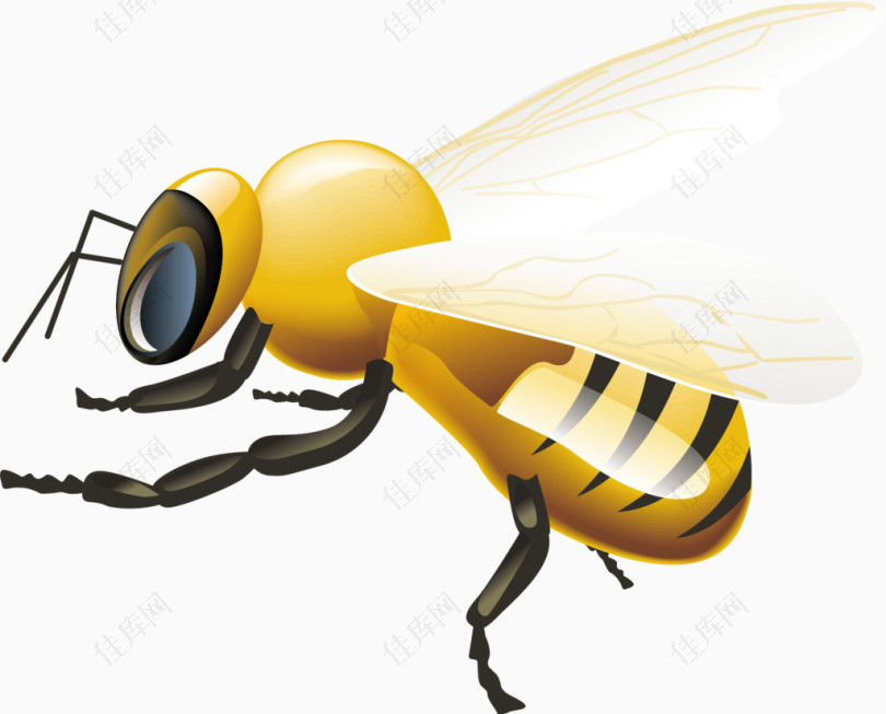 矢量蜜蜂元素图