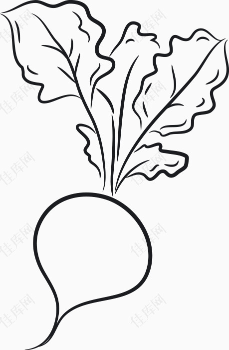 卡通手绘线性菜花蔬菜萝卜素材