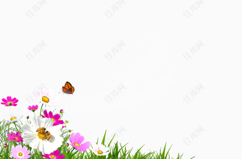 春天花朵蝴蝶图案