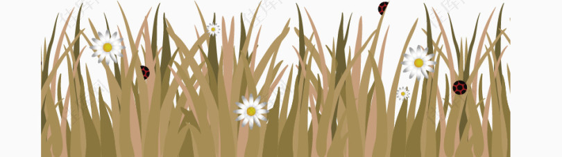 草丛里的白花