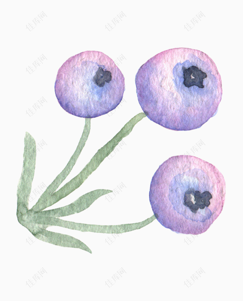 清新森系水彩紫色水果