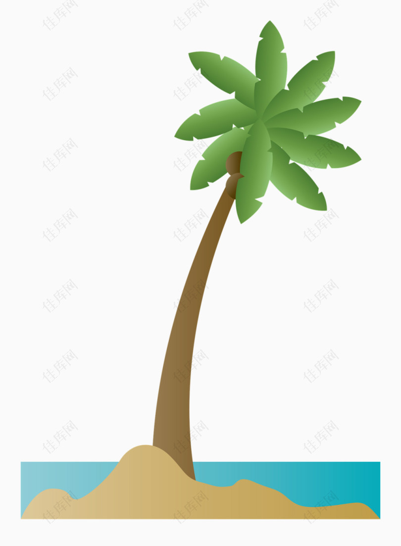 小巧的椰子树