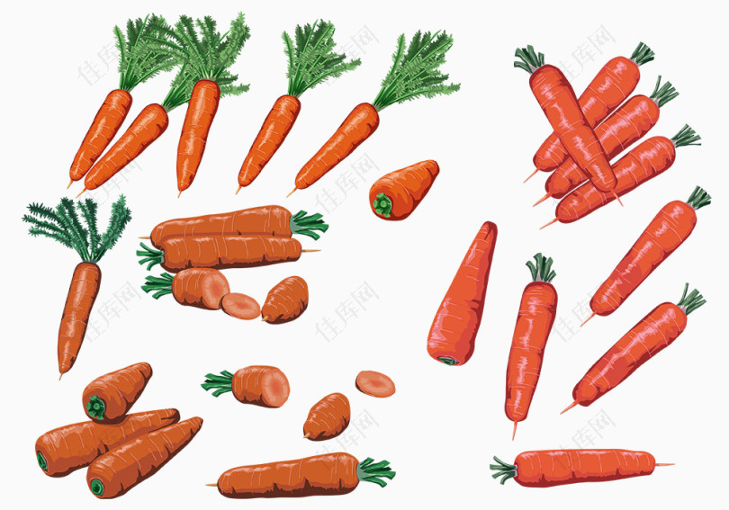 富含维生素C的胡萝卜