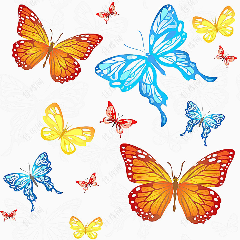 彩色蝴蝶昆虫海报封面