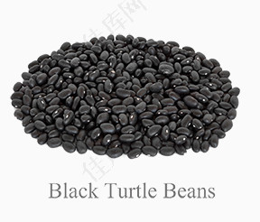 BlackTurtleBeans