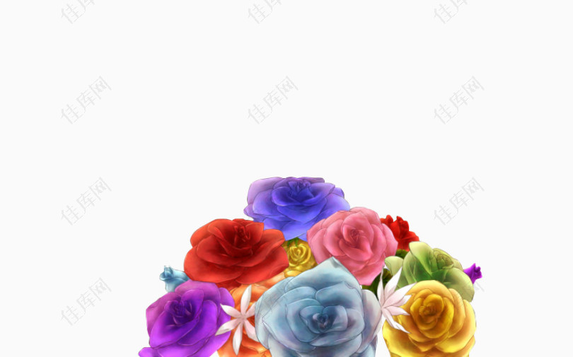 各种色的玫瑰花