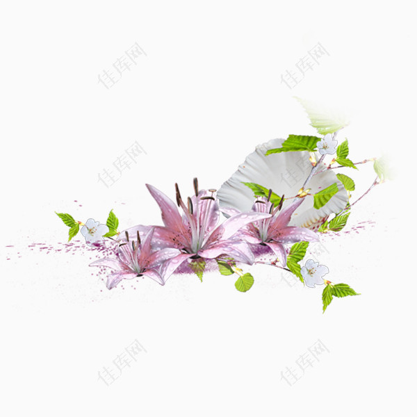 紫色鲜花绿叶植被