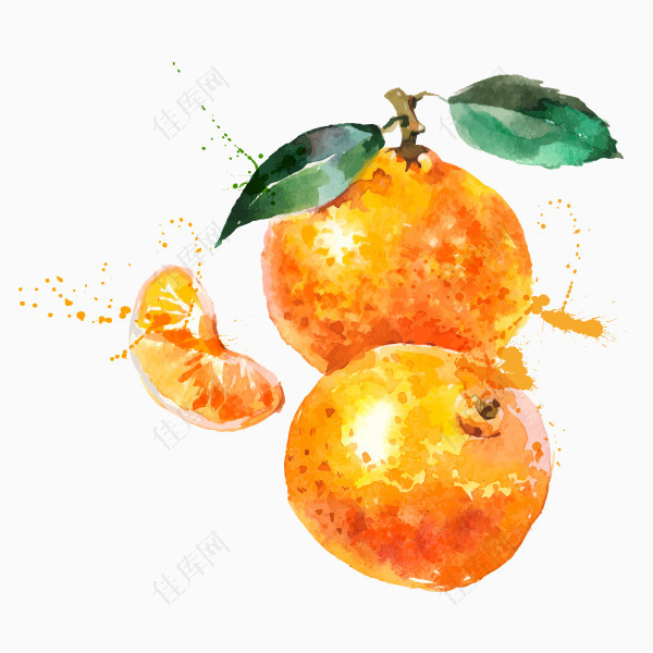 手绘水彩橘子png图片