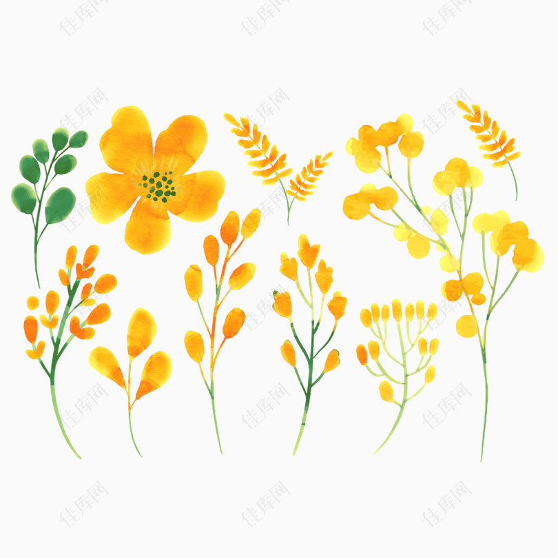 手绘风黄色花朵