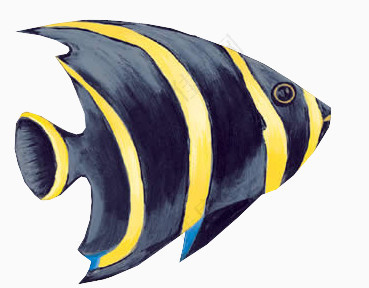黄尖头鱼