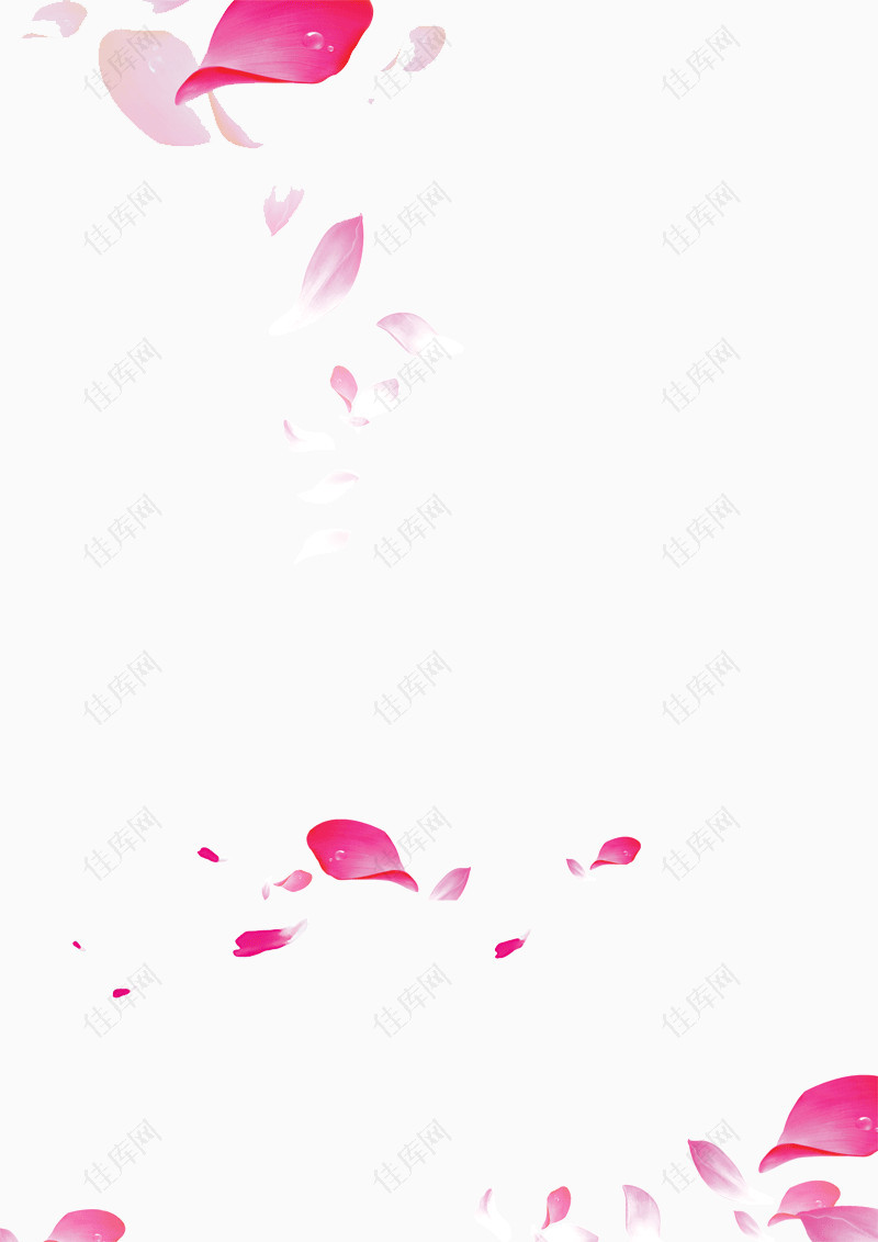 漂浮粉红色玫瑰花