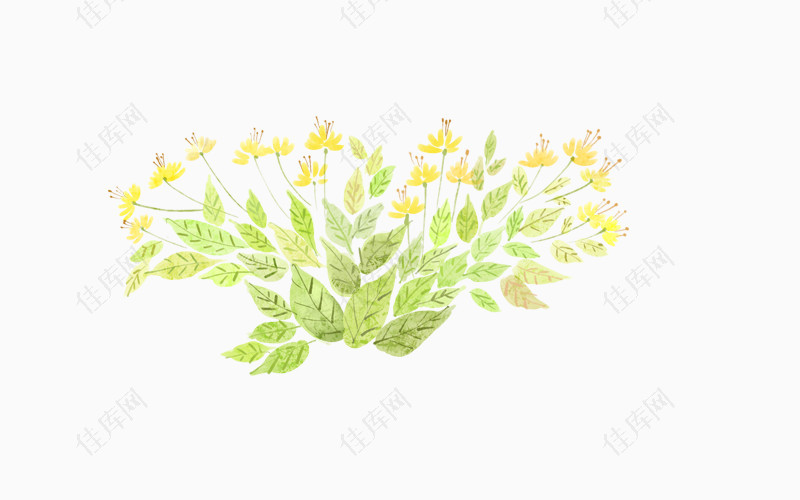精美黄色花卉图案