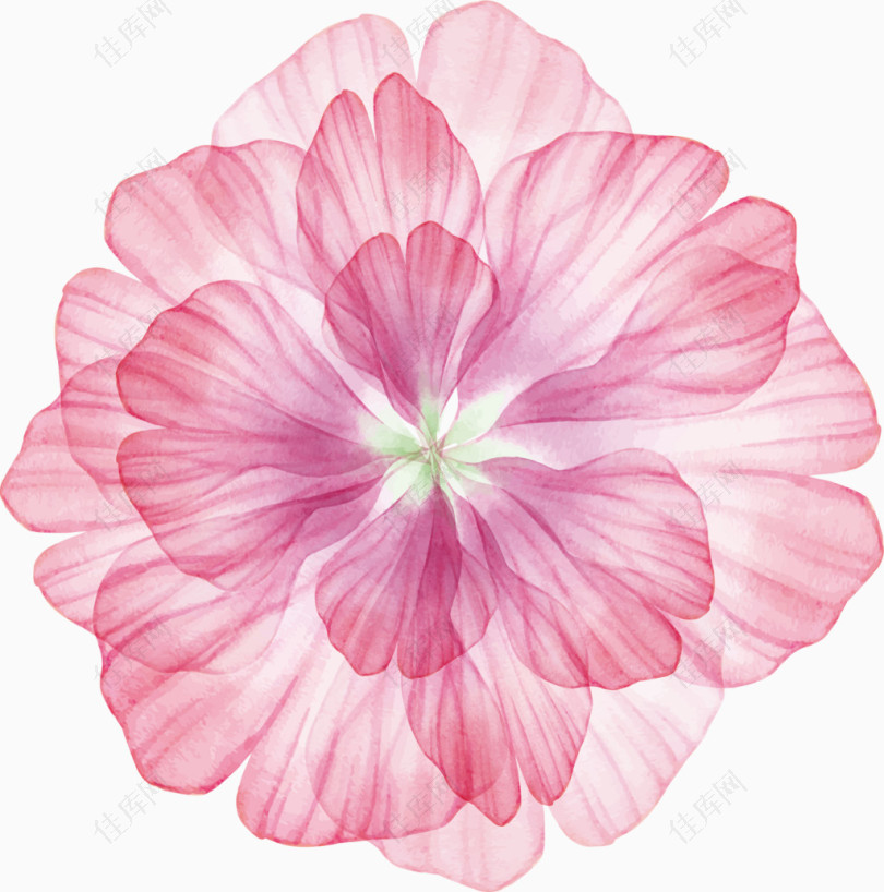粉色透明花瓣