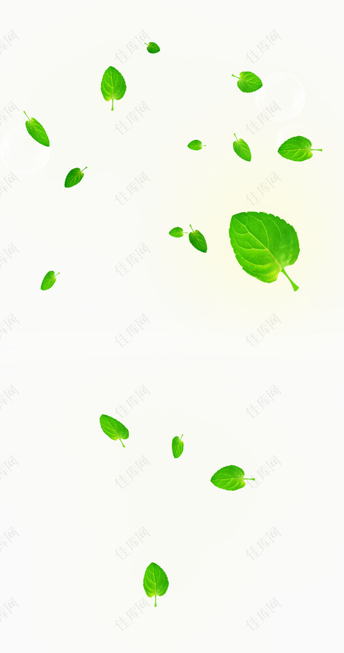 漂浮元素绿色叶子发光飞溅