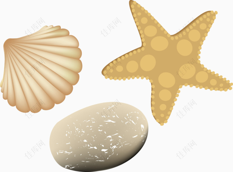 贝壳矢量素材唯美淡雅海星