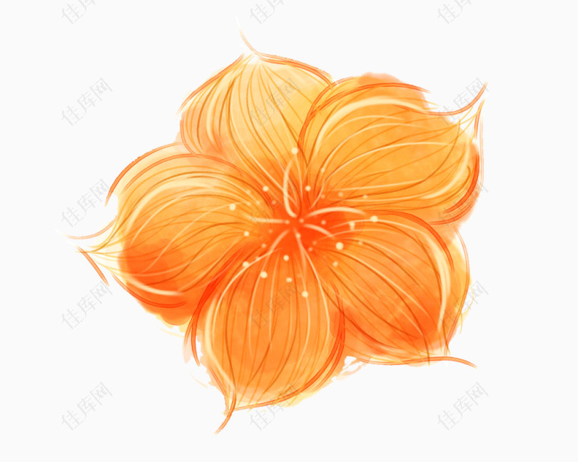 手绘橙色花卉