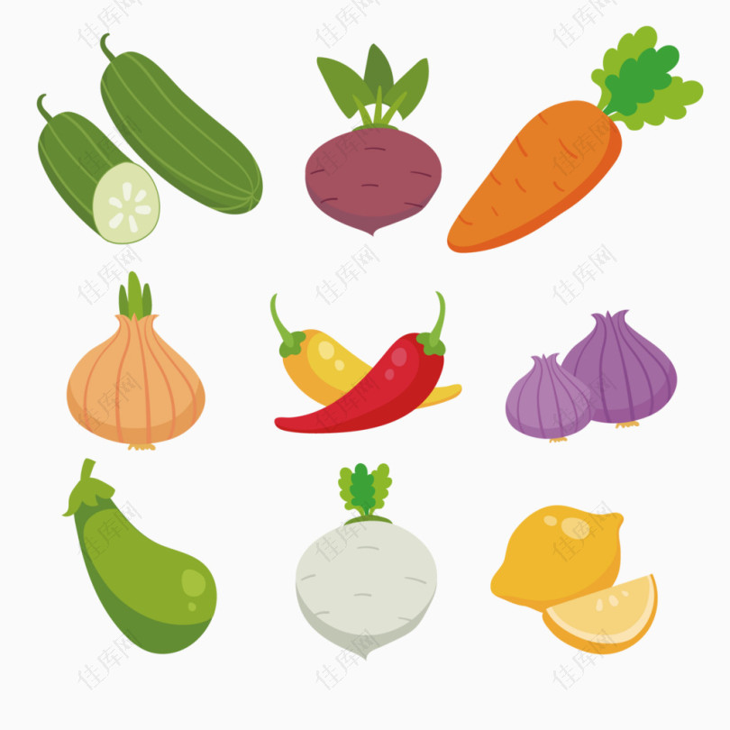 彩色蔬菜果实集合