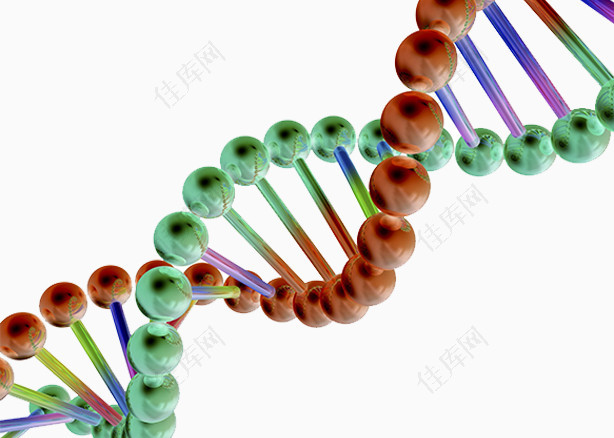 生物基因链