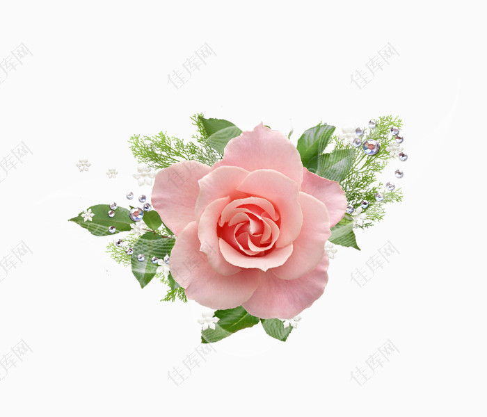 精美粉色花朵png装饰素材