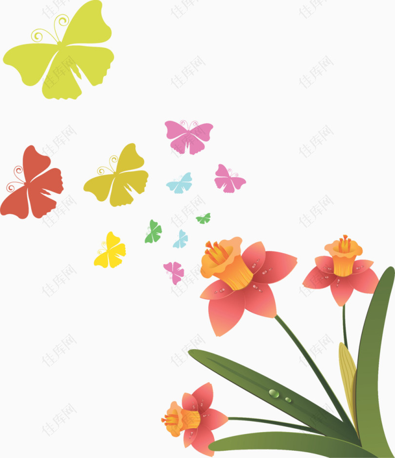蝴蝶花朵花卉