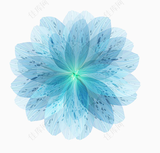 唯美冰蓝色花朵