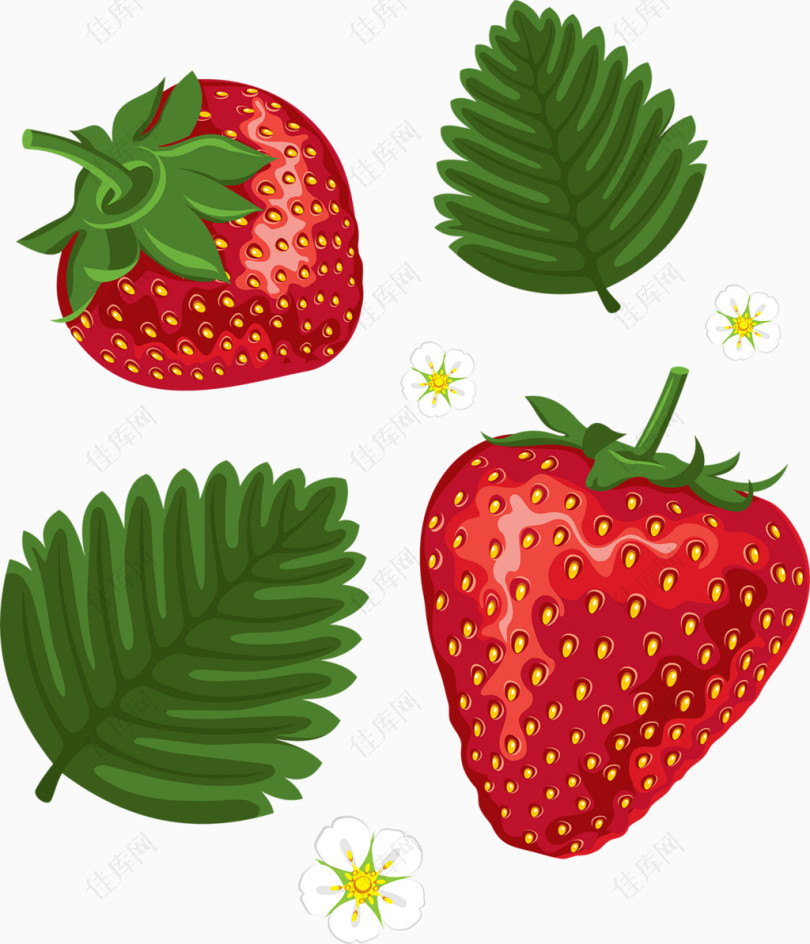 草莓草莓花叶子卡通手绘