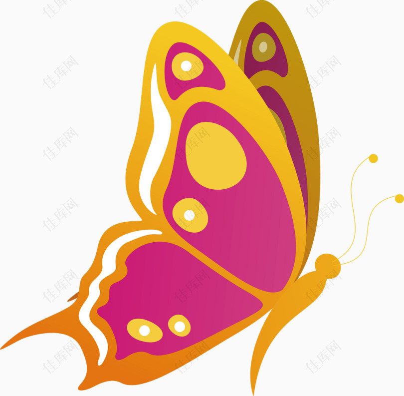 黄色美丽蝴蝶翅膀矢量素材