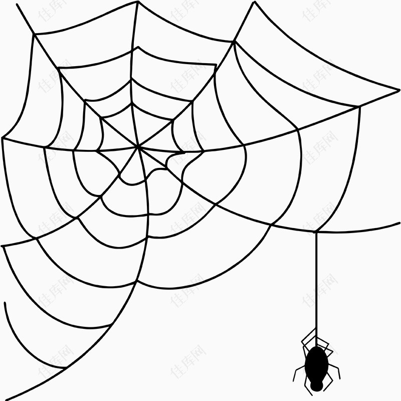 蛛网与蜘蛛