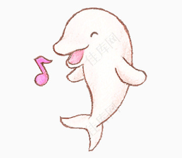 开心的海豚