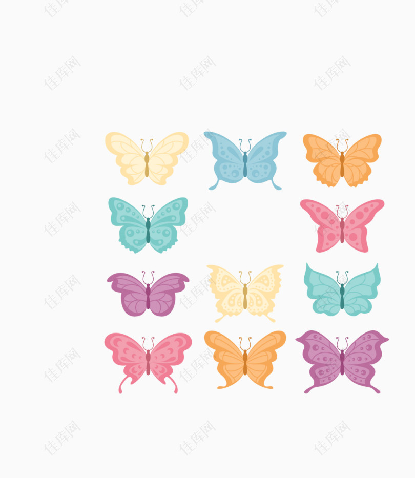 矢量彩色蝴蝶几款标本