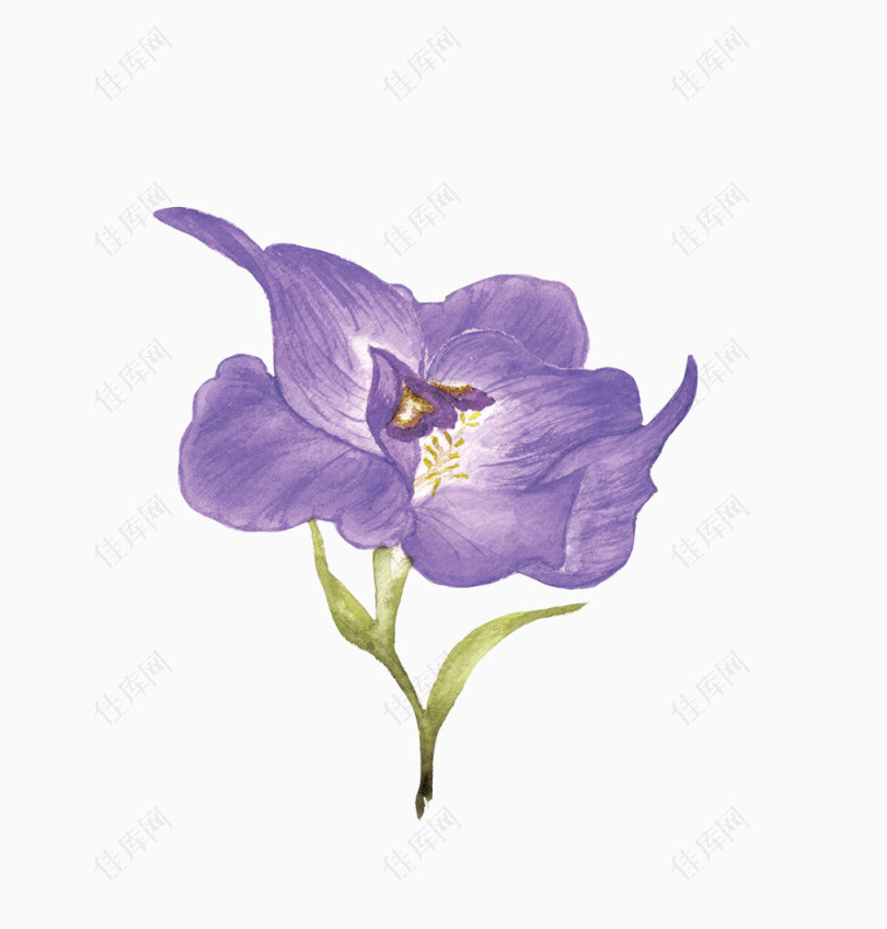 唯美清新森系手绘紫色花朵