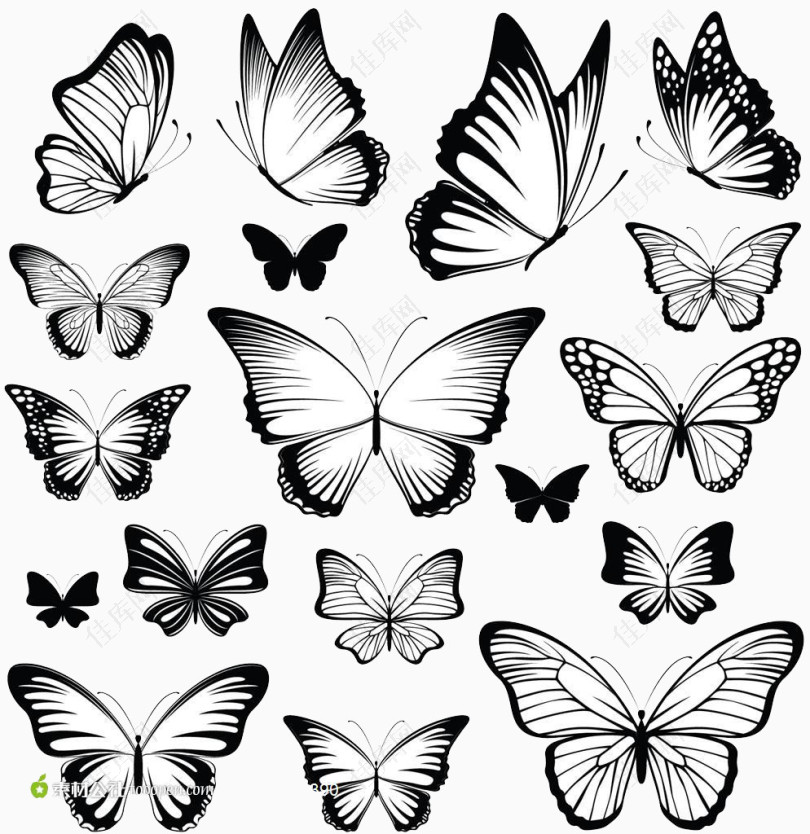 各种种样的蝴蝶