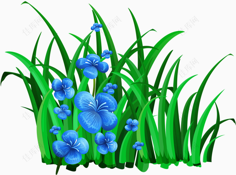 蓝花和草堆