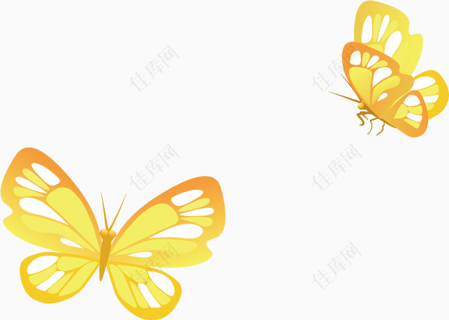 两个金色蝴蝶卡通图案